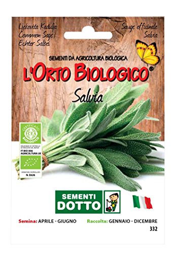 Sdd O.BIO AROM_Salvia Semi, 0.02x15.5x10.8 cm - Jardin & Extérieur Amazon Italie à 2.00€