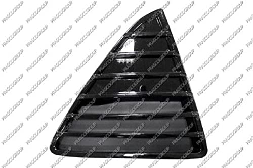 PRASCO FD4282125 Frontgrillspoiler - Garden & Outdoor Amazon Germany à 13.05€