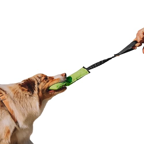 Dingo Juguete de Agility para Perros para Entrenamiento... - Jouets & Jeux Amazon Espagne à 9.90€