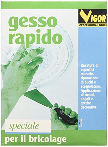 GESSO RAPIDO VIGOR IN SCATOLA - Animalerie en promo à 1.00€