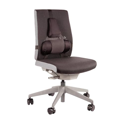 Fellowes Professional Series Ultimate Back Support - Amazon Royaume-Uni à 20.87€