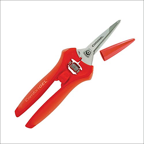 Micro lama e manico, 12,7 cm - Amazon Italy à 18.80€