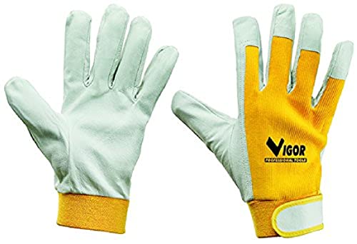 Gants VIGUOR Sport LÉGERS CE2 - Sports & Fitness Amazon France à 12.49€