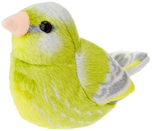 Wild Republic Audubon Bird, Verdone con Autentico Suono... - Toys & Games Amazon Italy à 10.34€