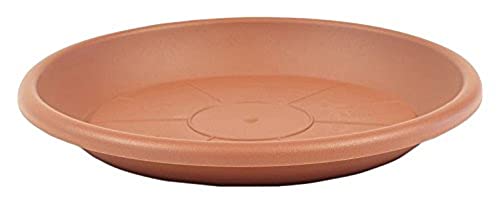 Greemotion Plato para macetas de Terracota – Platillo para... - Jardin & Extérieur Amazon Espagne à 1.00€