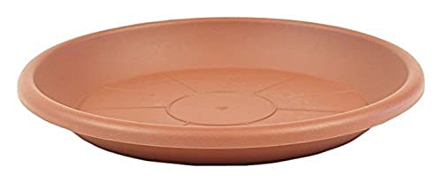 greemotion Soucoupe pour pot de fleur rond couleur terre... - Jardin & Extérieur Amazon France à 1.99€