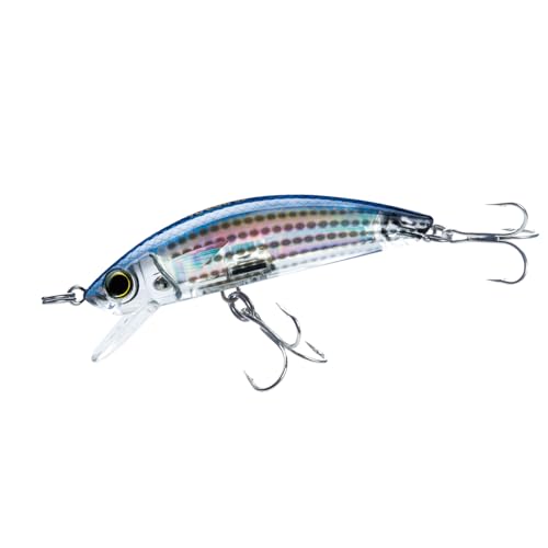 Yo-Zuri 3D Inshore Minnow (F) 90 mm 3–1/5,1 cm Mullet... - Sports & Fitness Amazon France à 20.93€