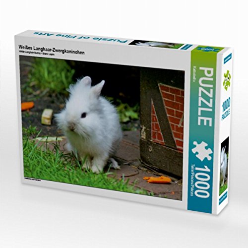 CALVENDO Puzzle Weißes Langhaar-Zwergkaninchen 1000 Teile... - Jouets & Jeux en promo à 26.62€