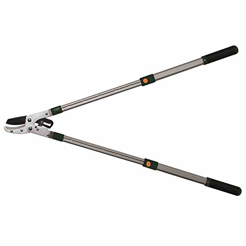 Siena Garden Troncarami, Argento/Verde, 68 x 31 x 40 cm... - Deal du jour à 14.52€