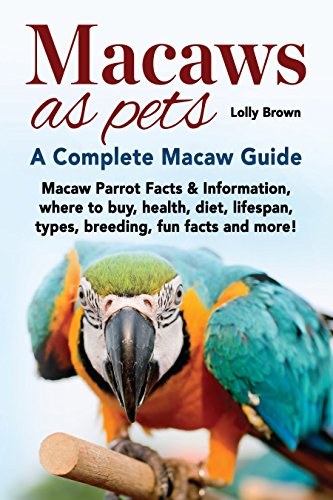 Macaws as Pets: Macaw Parrot Facts & Information, where to... - Maison & Cuisine Amazon Royaume-Uni à 0.99€