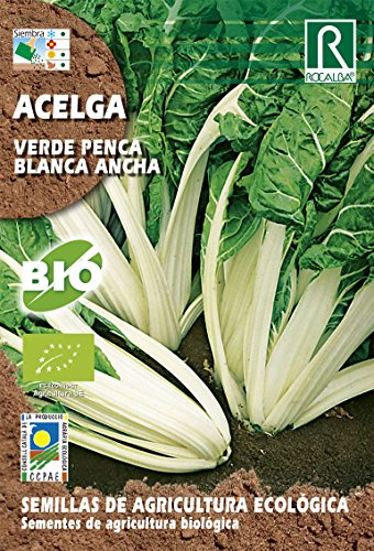 SEMILLAS ECOLOGICAS ACELGA VERDE PENCA - Épicerie Amazon Espagne à 1.95€