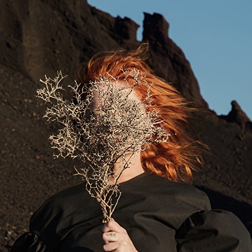 Silver Eye [Vinilo] - Amazon Espagne à 20.98€
