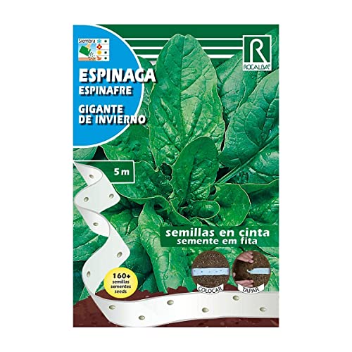 Seed tapes Rocalba - Spinach gigante de invierno (5m) - Jardin & Extérieur Amazon Royaume-Uni à 1.79€