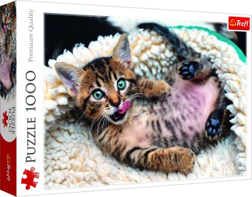Trefl 916 10448 EA 1000pcs Kitten, Coloured - High-Tech & Électronique Amazon Espagne à 13.68€