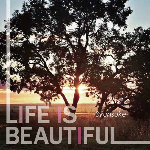 LIFE IS BEAUTIFUL - Musique & Instruments Amazon Allemagne à 32.31€