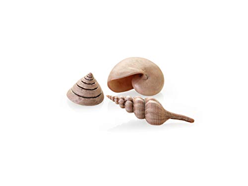 biOrb 48355 Muschel Set natural, 3er-Set - detailgetreue... - Tech & Electronics Amazon Germany à 11.26€