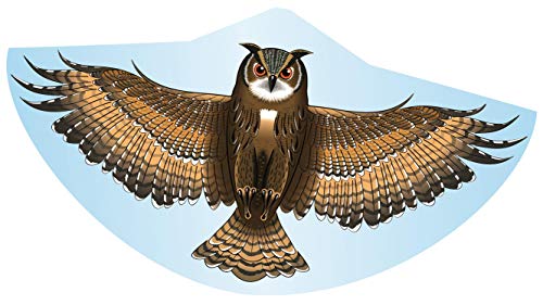 Gunther- 1193 - Cerf Volant - Monofil Eule - Jouets & Jeux Amazon France à 7.58€