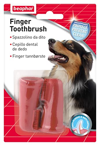 Beaphar Spazzolino da Dito per Cani, Prevenzione della... - Beauté & Parfums Amazon Italie à 2.90€