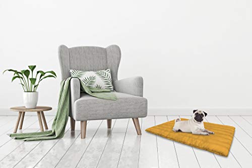 Cojìn lavable para perro 60x100cm amarillo - Animalerie Amazon Espagne à 21.40€