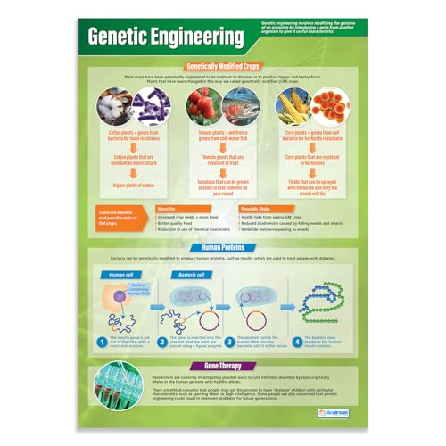 Wissenschaftsposter, Gentechnik, laminiertes Glanzpapier... - High-Tech & Électronique Amazon Allemagne à 4.75€