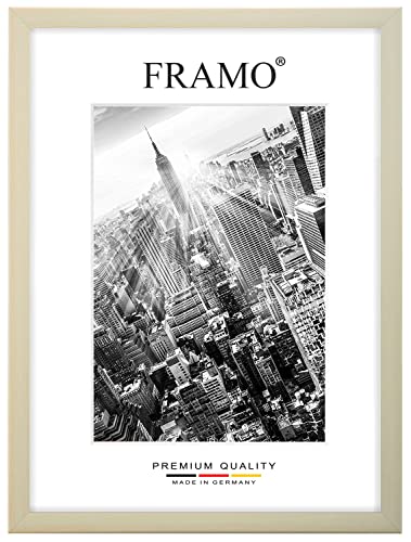 FRAMO 35mm Cornice per immagini 44 x 15 cm | Acero |... - High-Tech & Électronique Amazon Italie à 21.93€