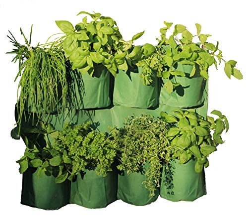 TIERRA GARDEN Haxnicks Fioriera da Giardino Verticale per... - Garden & Outdoor Amazon Italy à 12.61€