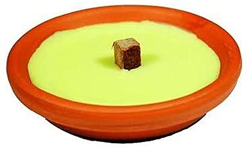 Ceri Citronella Vase en Terre Cuite 17 x 4 H cm - Maison & Cuisine Amazon France à 9.27€