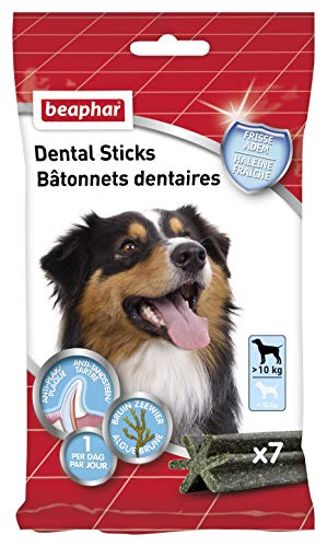 BEAPHAR - Palitos dentales para Perros Grandes (> 10 kg)... - Home & Kitchen Amazon Spain à 3.24€