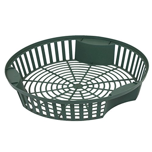 Prosper Plast IKCS315-G851 31.5 x 5.6 cm Onion 2 Basket... - Maison & Cuisine Amazon Royaume-Uni à 2.54€
