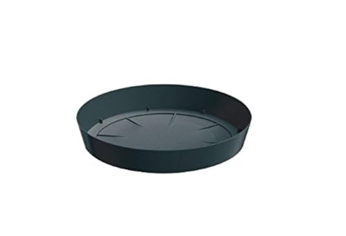 Prosper Plast pplf155-s433 15.5 x 2.5 cm Lofly piattino... - Maison & Cuisine Amazon Italie à 0.57€
