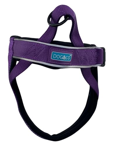 DOG & CO Norwegian Performance Harness, Large, Purple - Animalerie Amazon Royaume-Uni à 9.63€
