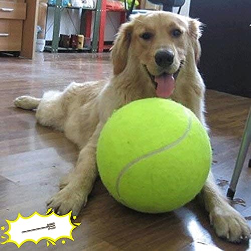 Banfeng Balle de Tennis géante pour Chien de Petite... - Sports & Fitness en promo à 13.99€