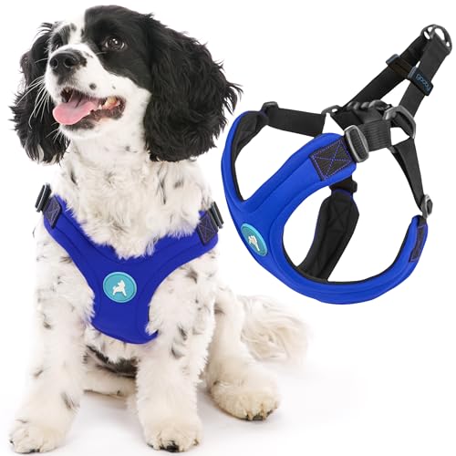 Gooby Escape Free Sport Harness - Blau, Größe L – Patentes... - Animalerie Amazon Allemagne à 11.24€