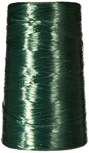 Maniver Rafia Sintetica 500 Gr - Amazon Italy à 13.80€