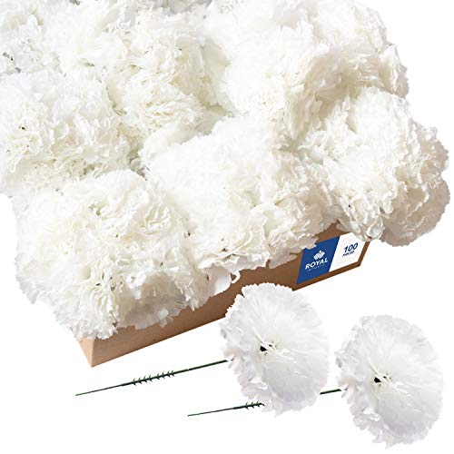Royal Imports Fleurs artificielles pour Les Bouquets, Les... - Garden & Outdoor Amazon France à 14.09€