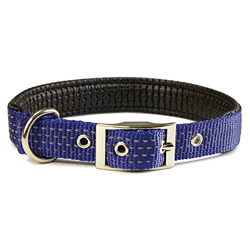 Arquivet Collar nylon liso azul - 2,5 x 53 cm - Pet Supplies Amazon Spain à 2.82€