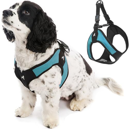 Gooby Turquoise X-Small Easy Fit Harness - No Pull Patented... - Pet Supplies Amazon UK à 20.83€