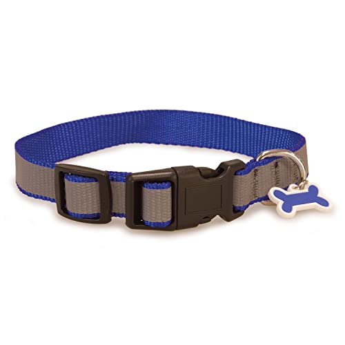 Arquivet Collar perro reflectante azul - 1,9 x 35/50 cm - Animalerie Amazon Espagne à 2.38€