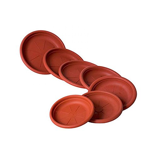 SATURNIA Plato para Macetas 16x1,2 cm. - Amazon Espagne à 4.41€