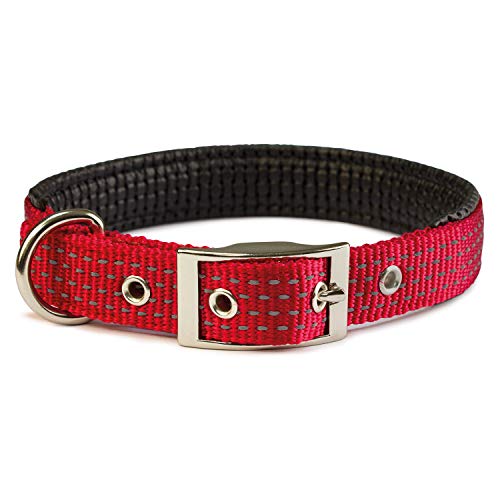 Arquivet Collar nylon liso rojo - 2,5 x 53 cm - Pet Supplies Amazon Spain à 2.82€
