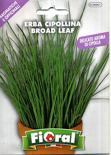 Semences de plantes aromatiques et officinales en sachet... - Jardin & Extérieur Amazon France à 1.90€