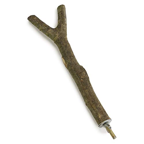 Arquivet 8435117858763 Kleiderbügel Holz Form und 20 cm - Animalerie Amazon Allemagne à 7.31€