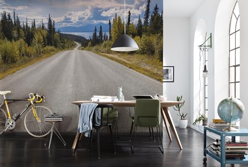 Komar Fototapete ATLIN ROAD | 368x254 cm | Tapete, Wand... - Nouvelle promo Amazon à 30.96€