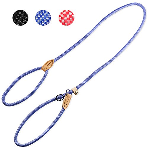 BELISY Hundeleine Rome I hochwertige & leichte Führleine I... - Animalerie Amazon Allemagne à 7.05€