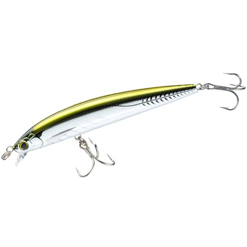 Yo-Zuri Hydro Minnow LC Floating Lure, 6", Bronze - Sports & Fitness Amazon Royaume-Uni à 9.92€