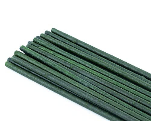 natural eholic – Gamba piruleta,, Popeye – spinat ' – Forro... - Animalerie Amazon Espagne à 1.71€