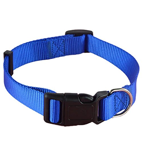 Collier sécurisé pour chien, chiot ou chat Ajustable Nylon... en promo à 1,15€ (-75%) sur Amazon FR