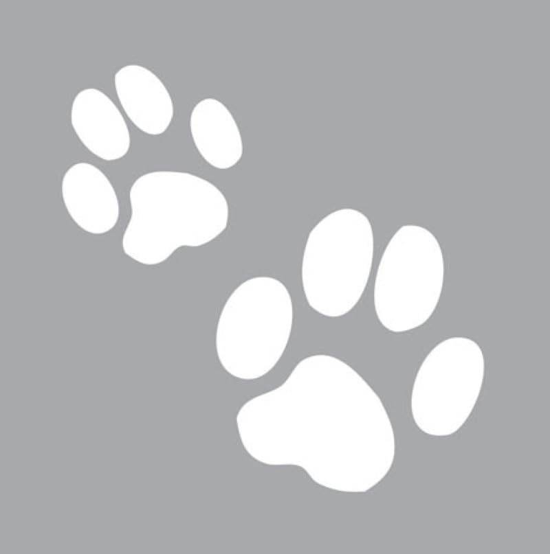 Plantilla 8 x 8 cm pata de gato – Semilla creativa - Jardin & Extérieur Amazon Espagne à 3.20€