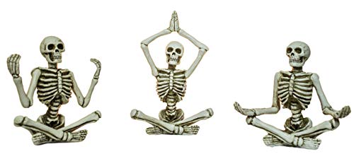 Ganz Zen figuras de esqueleto en diferentes poses de... - Jouets & Jeux Amazon Espagne à 52.53€