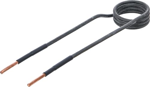 BGS 2169-2-38 | Bobina de inducción para calentador de... - Amazon Espagne à 8.64€